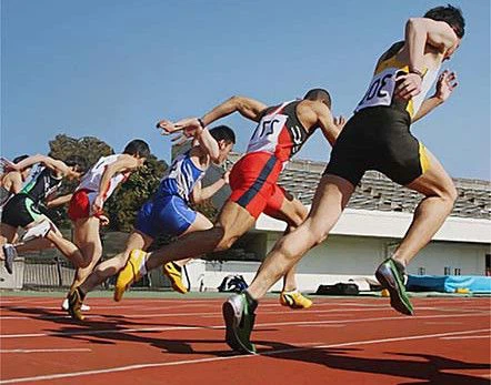 Sports
